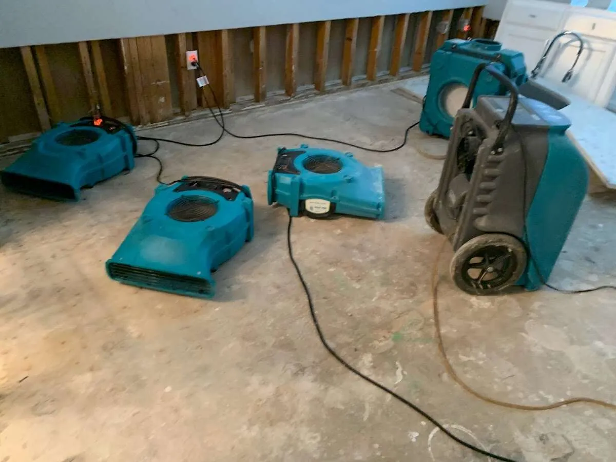 Water Damage Restoration services in Newcastle, WA