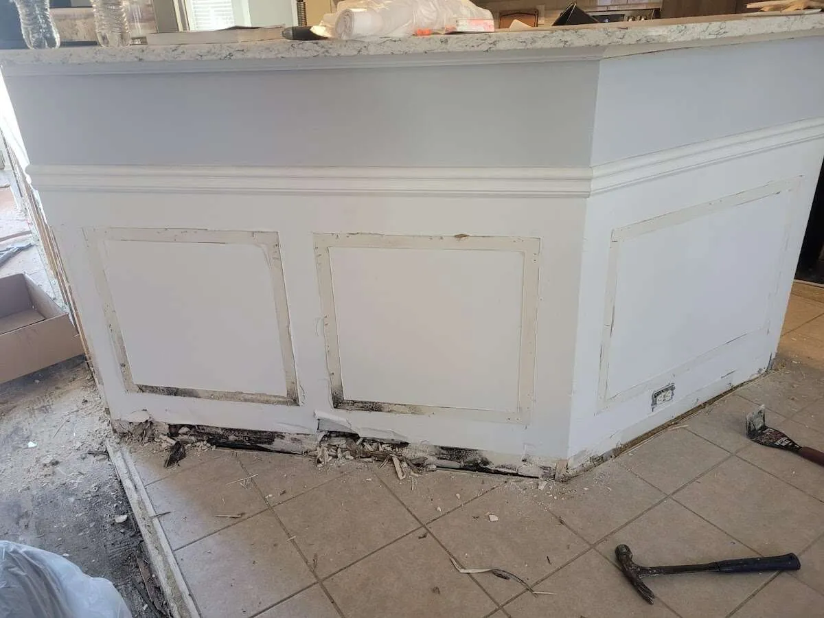 Water damage and mold on kitchen during Sewage Cleanup & Sanitation in Newcastle